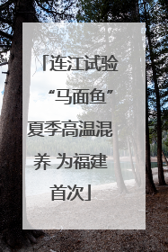 连江试验“马面鱼”夏季高温混养 为福建首次