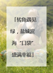 转角遇见绿，盐城滨海“口袋”盛满幸福