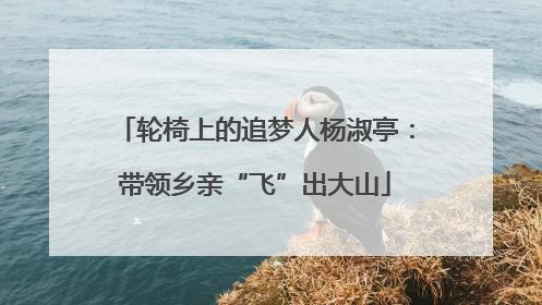 轮椅上的追梦人杨淑亭：带领乡亲“飞”出大山