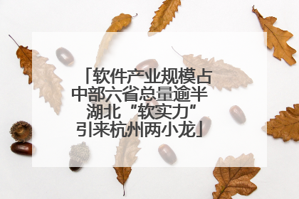 软件产业规模占中部六省总量逾半 湖北“软实力”引来杭州两小龙