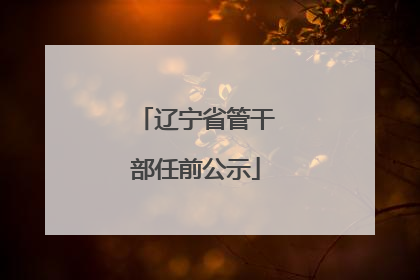 辽宁省管干部任前公示