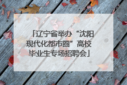 辽宁省举办“沈阳现代化都市圈”高校毕业生专场招聘会