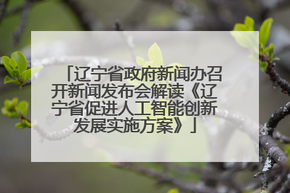 辽宁省政府新闻办召开新闻发布会解读《辽宁省促进人工智能创新发展实施方案》