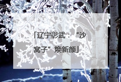 辽宁彰武：“沙窝子”焕新颜