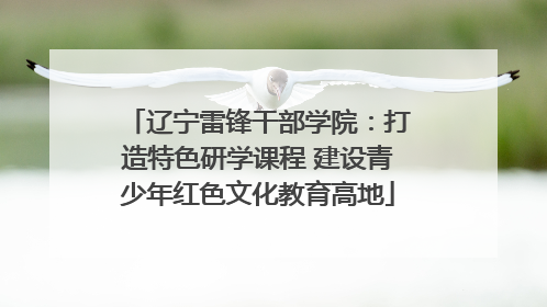 辽宁雷锋干部学院：打造特色研学课程 建设青少年红色文化教育高地