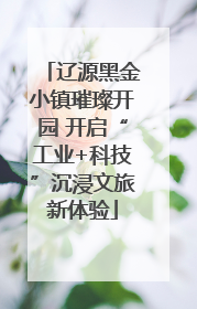辽源黑金小镇璀璨开园 开启“工业+科技”沉浸文旅新体验