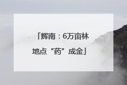 辉南：6万亩林地点“药”成金