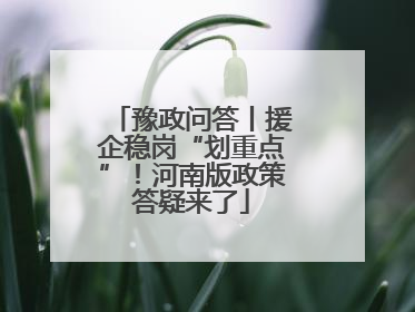 豫政问答丨援企稳岗“划重点”！河南版政策答疑来了