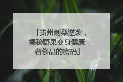 贵州刺梨逆袭，揭秘野果变身健康奢侈品的密码