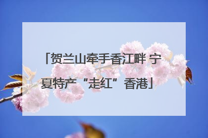 贺兰山牵手香江畔 宁夏特产“走红”香港