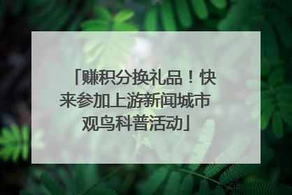 赚积分换礼品！快来参加上游新闻城市观鸟科普活动