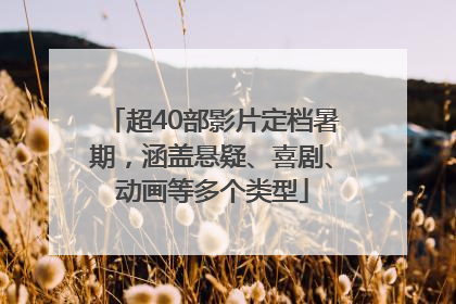 超40部影片定档暑期，涵盖悬疑、喜剧、动画等多个类型