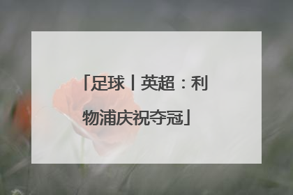 足球丨英超：利物浦庆祝夺冠