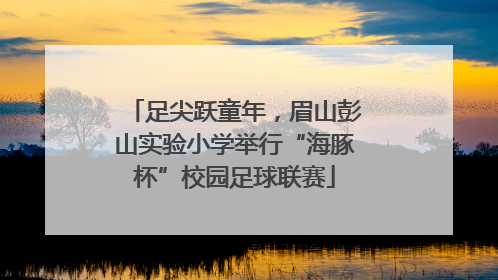 足尖跃童年，眉山彭山实验小学举行“海豚杯”校园足球联赛