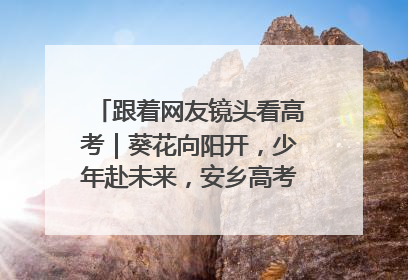 跟着网友镜头看高考｜葵花向阳开，少年赴未来，安乡高考首日的希望图景
