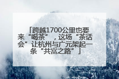 跨越1700公里也要来“喝茶”，这场“茶话会”让杭州与广元架起一条“共富之路”