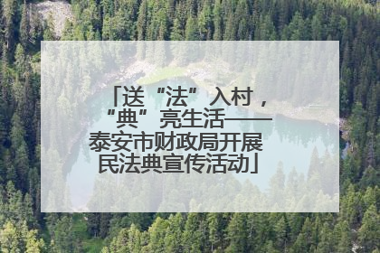 送“法”入村，“典”亮生活——泰安市财政局开展民法典宣传活动