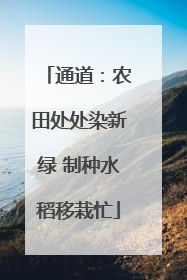 通道：农田处处染新绿 制种水稻移栽忙