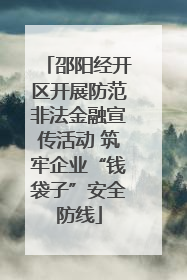 邵阳经开区开展防范非法金融宣传活动 筑牢企业“钱袋子”安全防线