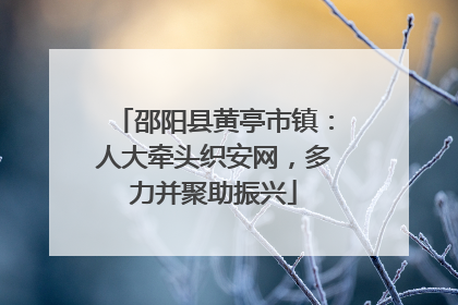 邵阳县黄亭市镇：人大牵头织安网，多力并聚助振兴