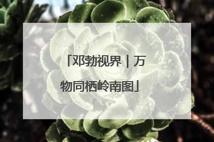 邓勃视界｜万物同栖岭南图