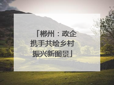 郴州：政企携手共绘乡村振兴新图景