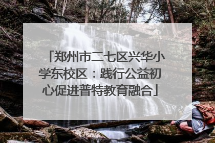 郑州市二七区兴华小学东校区：践行公益初心促进普特教育融合