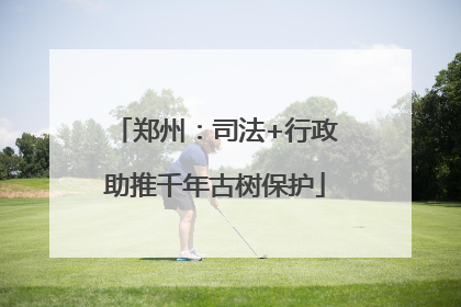 郑州：司法+行政助推千年古树保护