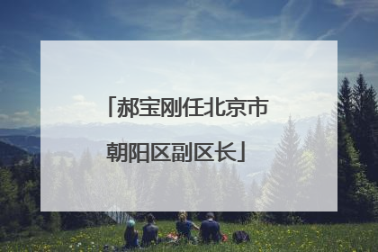 郝宝刚任北京市朝阳区副区长