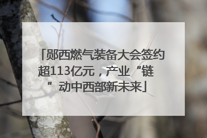 郧西燃气装备大会签约超113亿元，产业“链”动中西部新未来