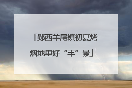 郧西羊尾镇初夏烤烟地里好“丰”景