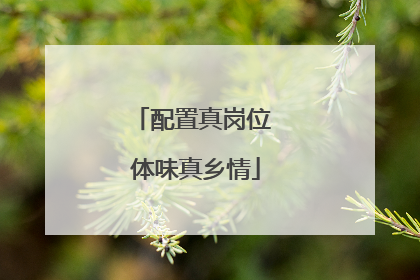 配置真岗位 体味真乡情