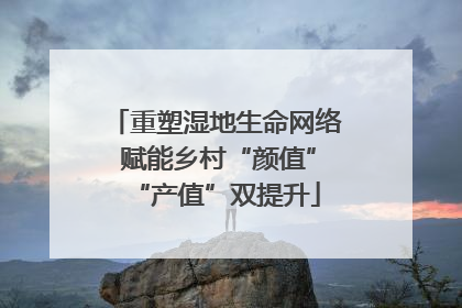 重塑湿地生命网络 赋能乡村“颜值”“产值”双提升