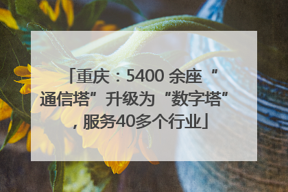 重庆：5400 余座“通信塔”升级为“数字塔”，服务40多个行业