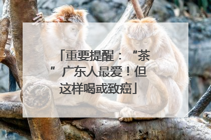 重要提醒：“茶”广东人最爱！但这样喝或致癌