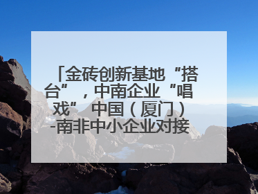金砖创新基地“搭台”，中南企业“唱戏” 中国（厦门）-南非中小企业对接会在厦举办