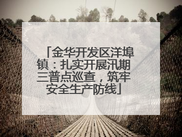 金华开发区洋埠镇：扎实开展汛期三普点巡查，筑牢安全生产防线