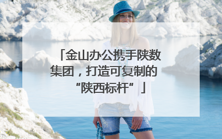 金山办公携手陕数集团，打造可复制的“陕西标杆”