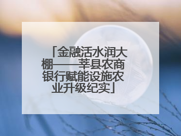 金融活水润大棚——莘县农商银行赋能设施农业升级纪实