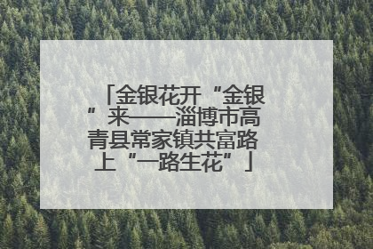 金银花开“金银”来——淄博市高青县常家镇共富路上“一路生花”