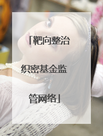 靶向整治织密基金监管网络