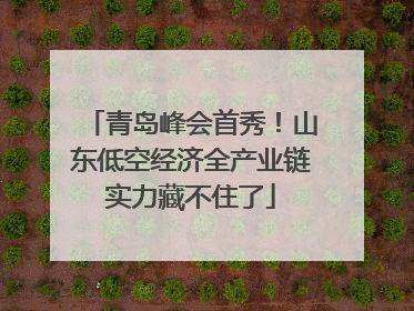 青岛峰会首秀！山东低空经济全产业链实力藏不住了