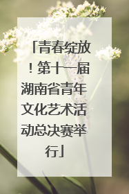 青春绽放！第十一届湖南省青年文化艺术活动总决赛举行