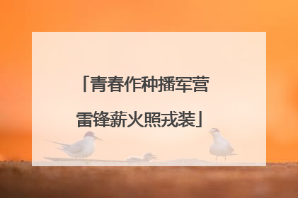 青春作种播军营 雷锋薪火照戎装