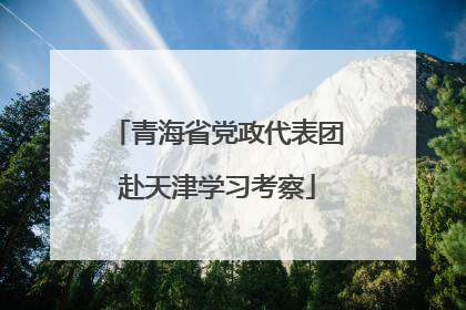 青海省党政代表团赴天津学习考察