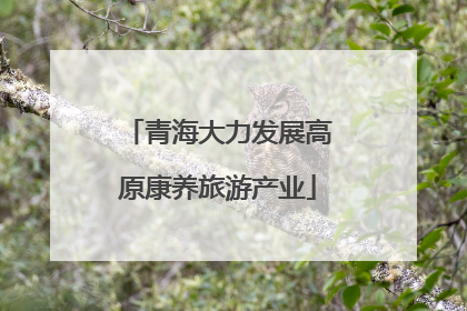 青海大力发展高原康养旅游产业
