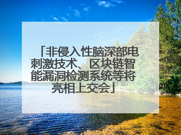 非侵入性脑深部电刺激技术、区块链智能漏洞检测系统等将亮相上交会