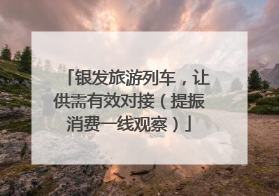 银发旅游列车，让供需有效对接（提振消费一线观察）