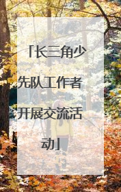 长三角少先队工作者开展交流活动