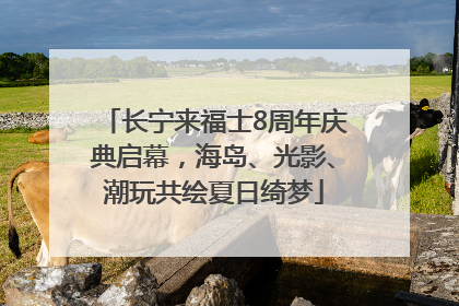 长宁来福士8周年庆典启幕，海岛、光影、潮玩共绘夏日绮梦
